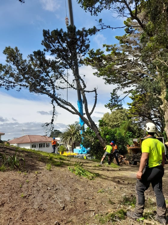 Tree removal using crane